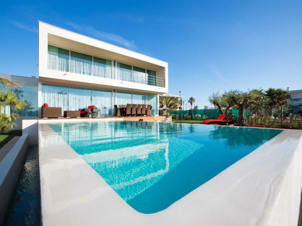 Realtor | Sharlot Arabshahi