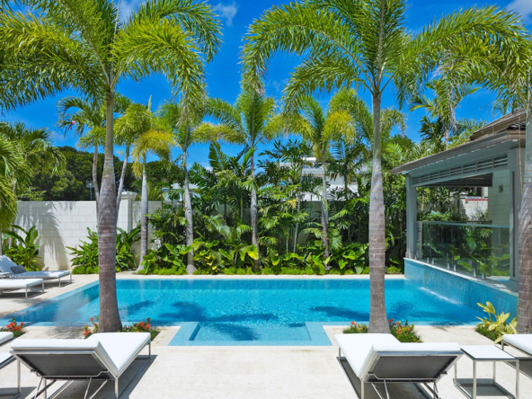 Realtor | Sharlot Arabshahi