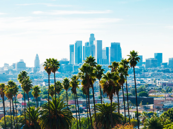 Realtor | Sharlot Arabshahi