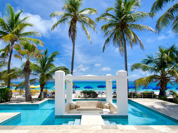 Realtor | Sharlot Arabshahi