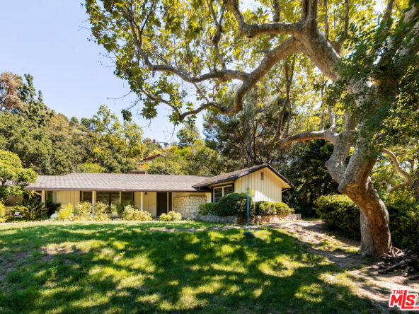 Realtor | Sharlot Arabshahi